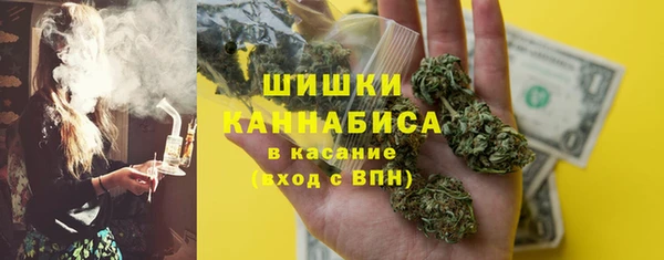 дживик Зеленокумск