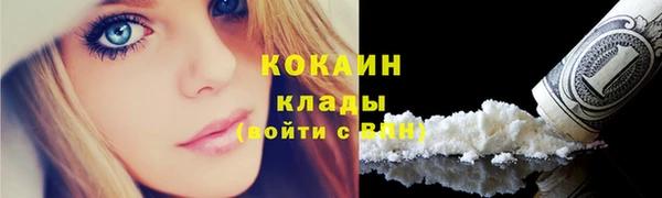 дживик Зеленокумск