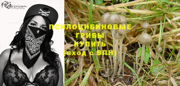 PSILOCYBIN Зерноград
