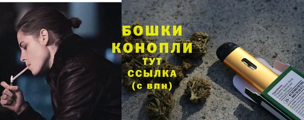 PSILOCYBIN Зерноград