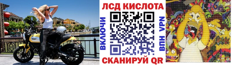 Купить закладки  Дорогобуж  Марки NBOMe 1,8мг 