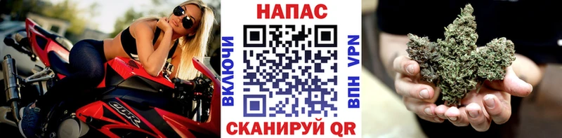 Купить закладки  Дорогобуж  Шишки марихуана OG Kush 